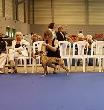 Championnat de France 2017 !