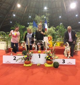 Exposition nationale de Ales