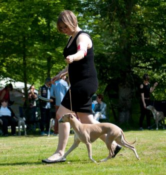 Nationale d’élevage 2018