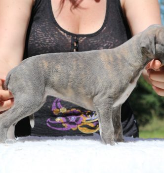 2 nouvelles recrues !