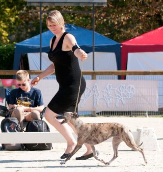 Exposition internationale de Saint Etienne