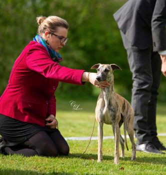 Tests de One Kind of Magic et Diva