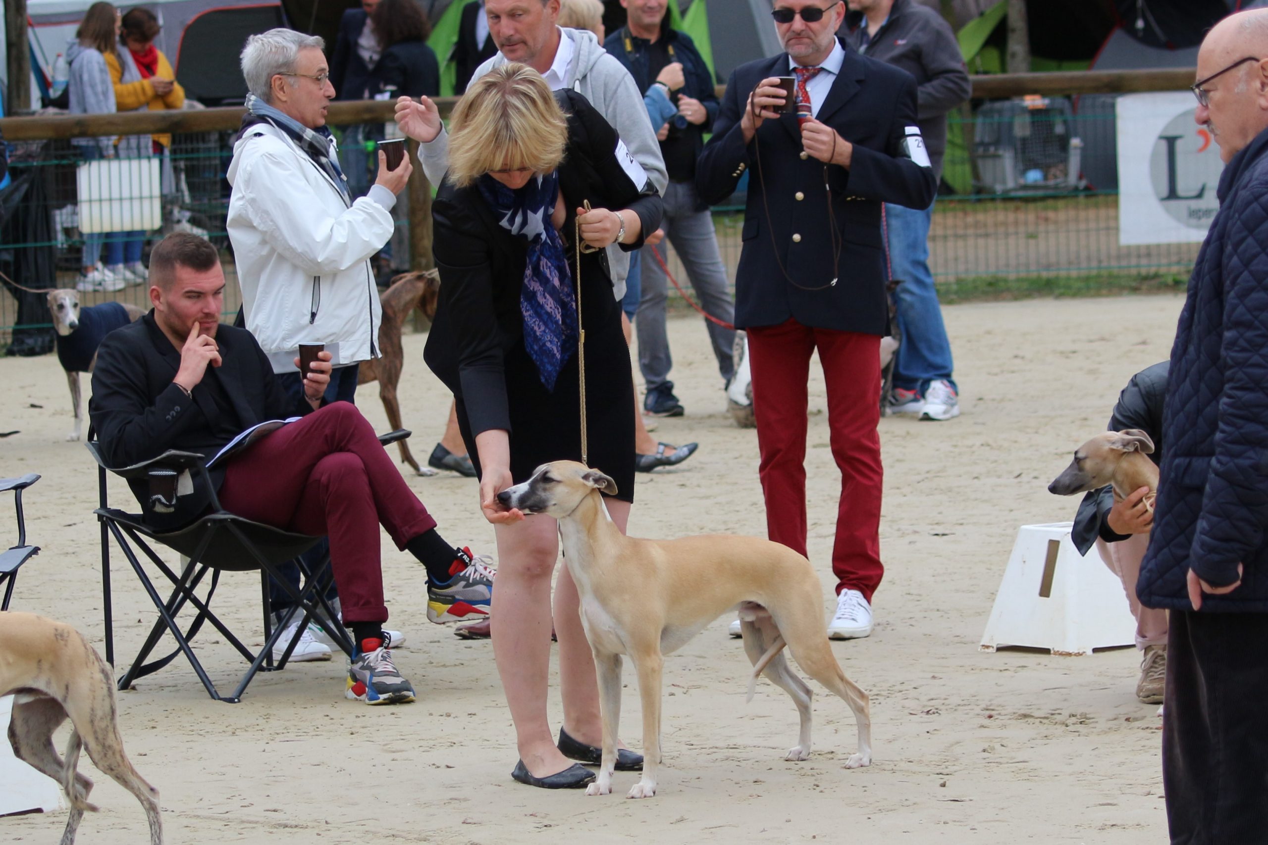 Exposition Spéciale de race de Pompadour