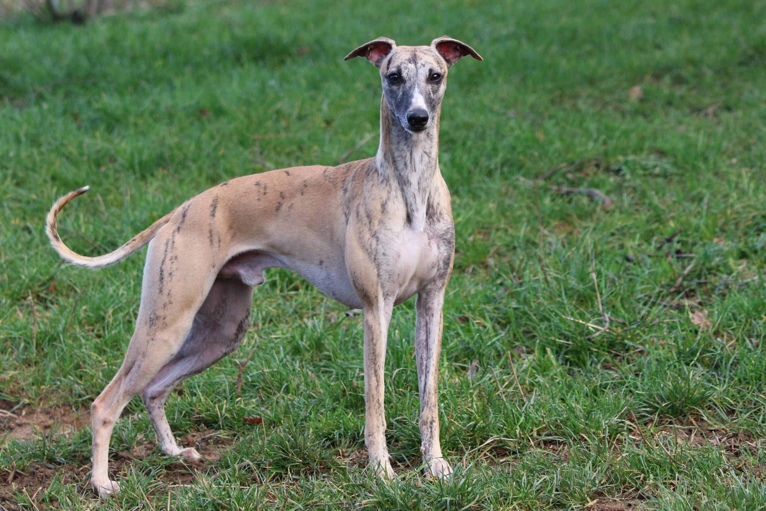 Exposition internationale de Martigues