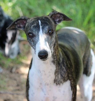 Départ de Queen …