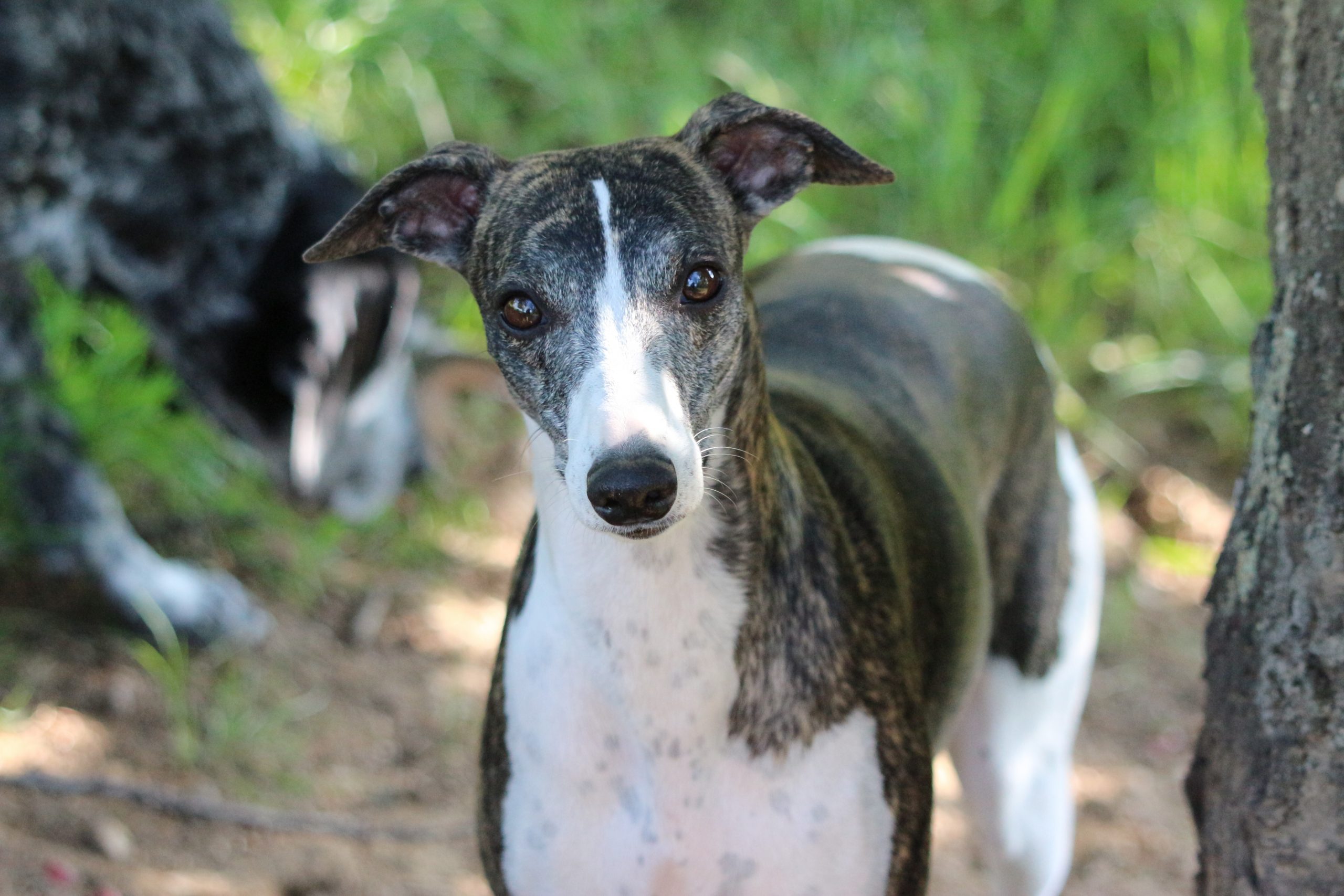 Départ de Queen …