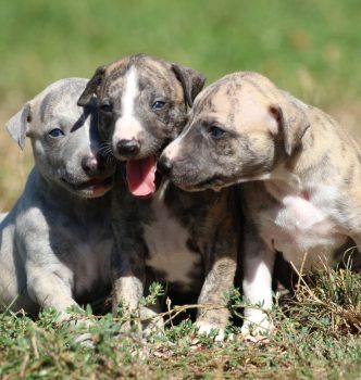 On découvre l’extérieur