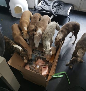 Arrivage de friandises !