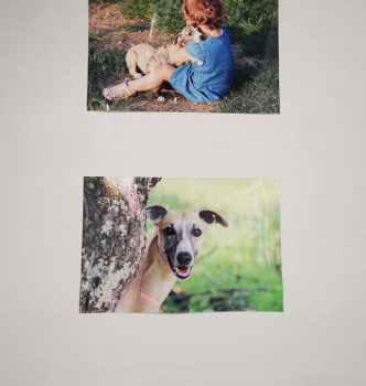 Réfection de la nurserie