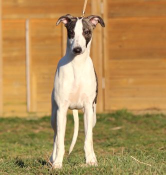 6 mois pour notre petit Run !