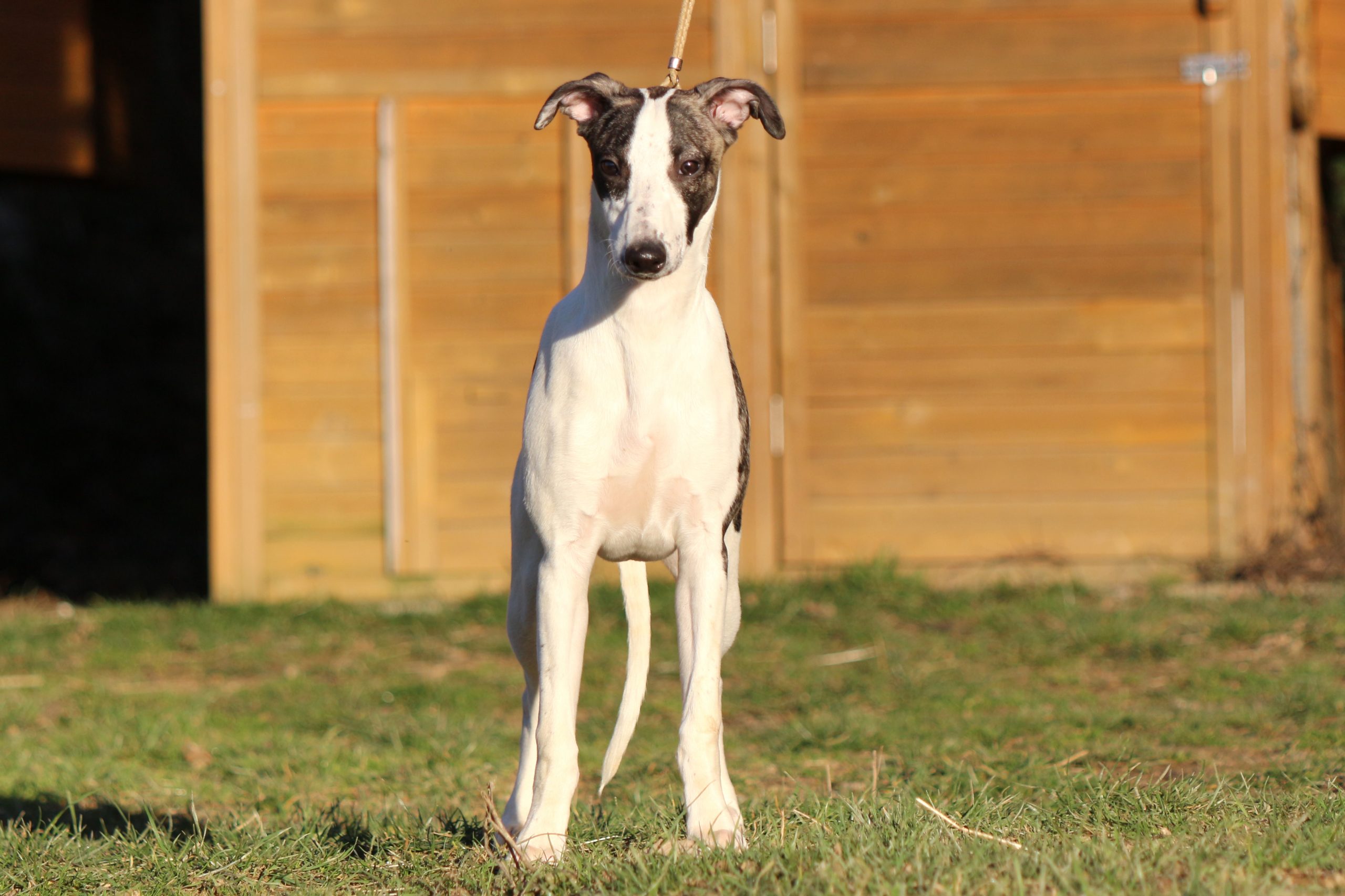 6 mois pour notre petit Run !