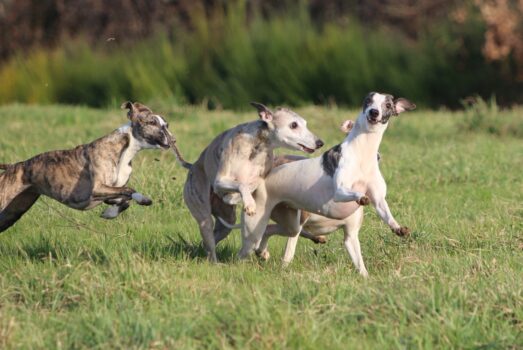 Notre optique de séléction